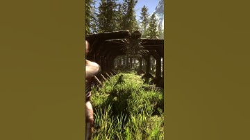 When You Over Use The Hokey Pokey Trap In Sons Of The Forest!