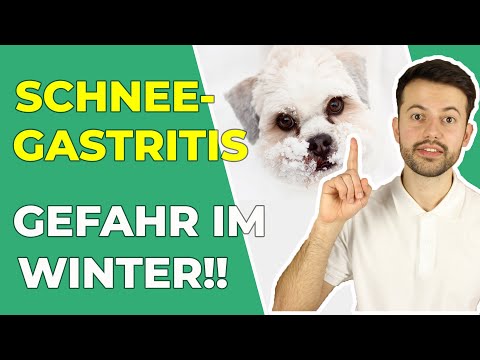 Video: „Vorsicht vor Hunden“-Schilder: Vorsorge oder Haftung?