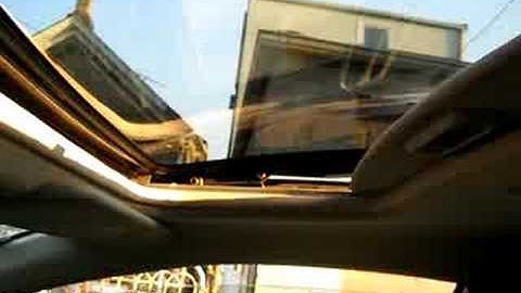 Incriminator Audio Lethal Injection Flex Vids