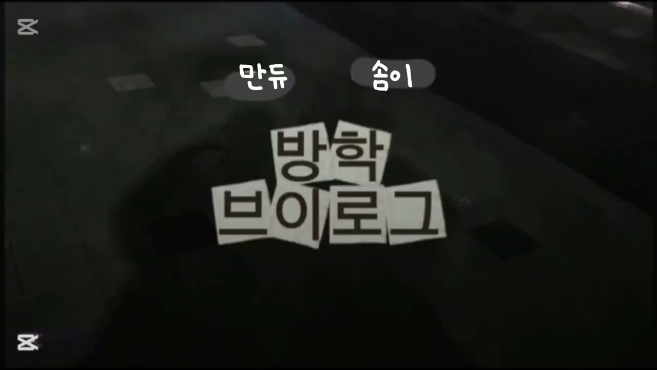 솜이의 방학 브이로그!