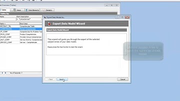 Safyr Subject Area and Export