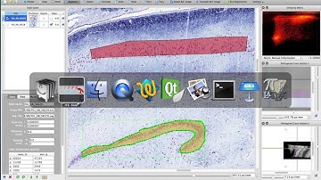 HistoloZee Tutorial 14 - Exporting ROIs and segmentation labels from reconstruction to NIfTI