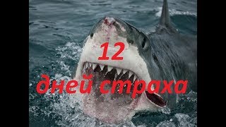 ФИЛЬМ ПРО АКУЛУ - УБИЙЦУ  " 12 ДНЕЙ СТРАХА ", драма