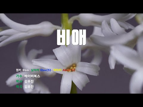 은성 반주기 비애 베이비복스