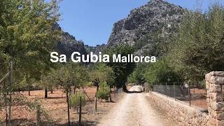 Climbing With Rock And Ride Climbing In Sa Gubia Mallorca July 17