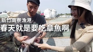 春天就是要吃章魚啊一起去南寮看捕章魚的漁船網具