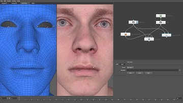 Wrap3 Tutorial OpticalFlowWrapping Part1
