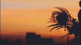 दुनिया से मैं हारा तो आया तेरे द्वार ll duniya se mai hara to aaya tere dwar whatsapp status.