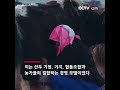 [아름다운 생활] 시짱 의 빈곤상황을 완화시킨 합작 경영 양식 | CCTV 한국어방송