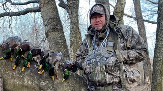 Late January Timber Hunt | Grinding Our Way Till It's Over | Into The Woods with Rusty Creasey
