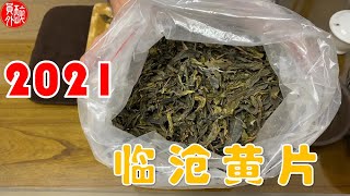 【醉員外普洱茶】X【白鶯山小劉茶坊】 2021 臨滄黃片