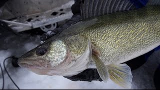 Pinpointing Devils Lake Walleyes