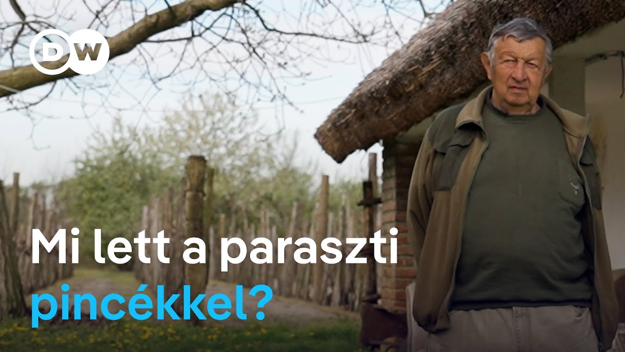 Eltűnő háztáji szőlőművelés, összeomló paraszti pincék: hogyan veszik ki egy évszázados hagyomány?
