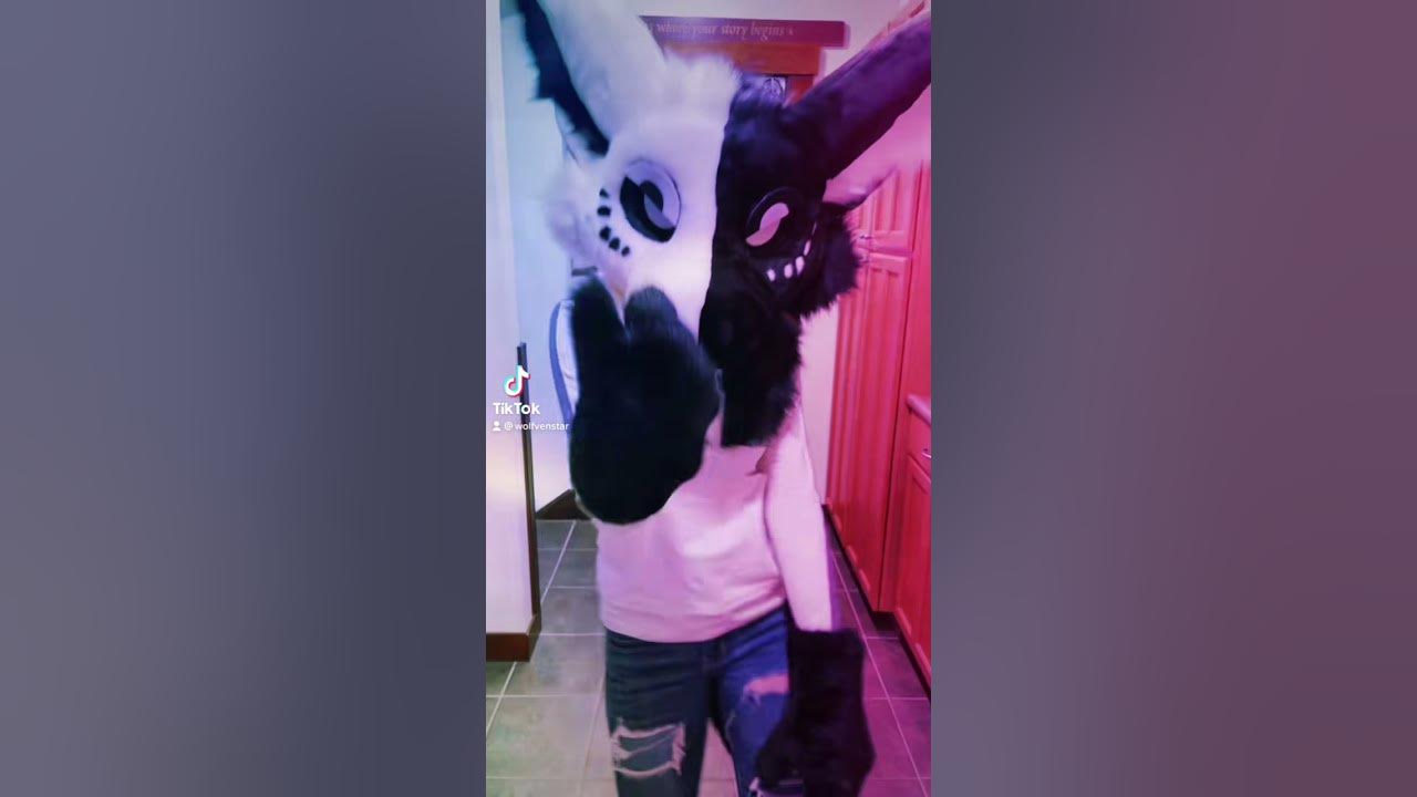 Grab Da Wall And Rock Da Boat Lyrics Furry TikTok: Grab Da Wall & Rock Da Boat Dance Trend - YouTube