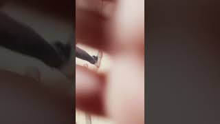 Disney Junior Ident 47