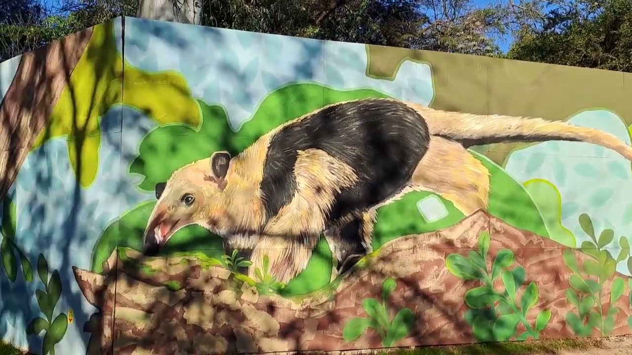 Reportaje: ¿Qué está pasando en el Parque de la Biodiversidad?