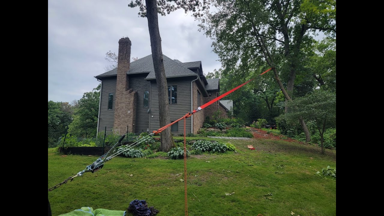 Felling a heavy leaning tree over a house in an opposite direction and ...