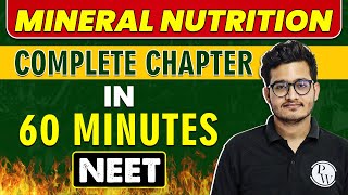 MINERAL NUTRITION in 60 minutes || Complete Chapter for NEET