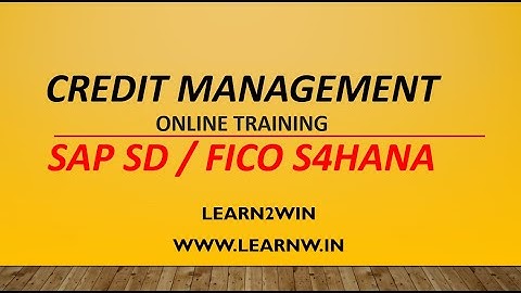 Credit management sap sd | credit control area sap | customer credit check sap | risk categories sap