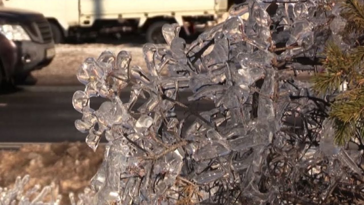 Vladivostok cristallizzata nel ghiaccio, danni per 1 milione usd