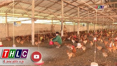 Đảm bảo nguồn cung thực phẩm trong dịp tết | THLC