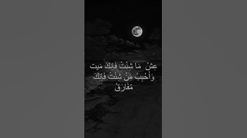 تلاوه خاشعه من الشيخ محمد عبد الرحمن مسعد