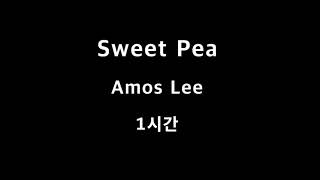 Sweet Pea Amos Lee 1시간 1hour
