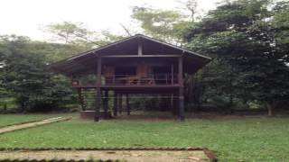 Khao Sok Evergreen House - Khao Sok - Thailand | Francesco Maritti