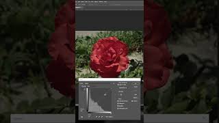 Photoshop Short Tip #1