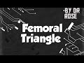 Femoral Triangle | Lower limb | Tamil | 