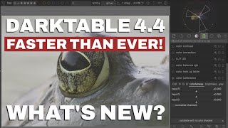 Celebrity What's NEW in Darktable 4.4? (My 7 Favourite New Features) Net Worth