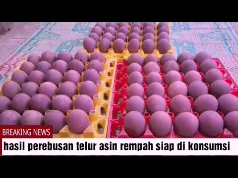 SUKSES!! Usaha Telur Asin Rempah dan Caranya...