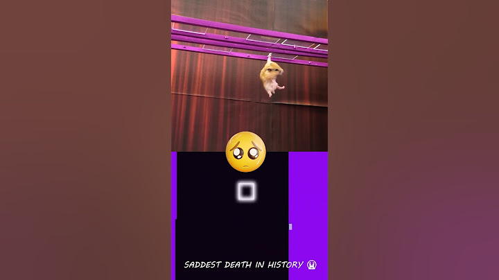Poor Hamster in Squid Game... 😨😨😭 | @Hamsterious | Bouncing Square #squidgame