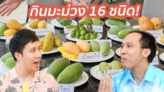 รีวิวมะม่วง 16 ชนิด! พันธุ์ไหนอร่อยที่สุด?!