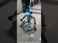 The boys beat up the robot #shorts