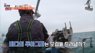 바다에 푸아그라가 있다! [뉴 코리아 헌터] 40회 20170306