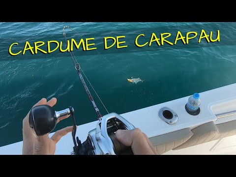 CARDUME DE CARAPAU - PESCARIA COM COCOLOCO FISHING