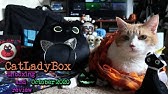 Catladybox Unboxing And Review January 21 Youtube Catladybox Unboxing And Review January 21 Youtube