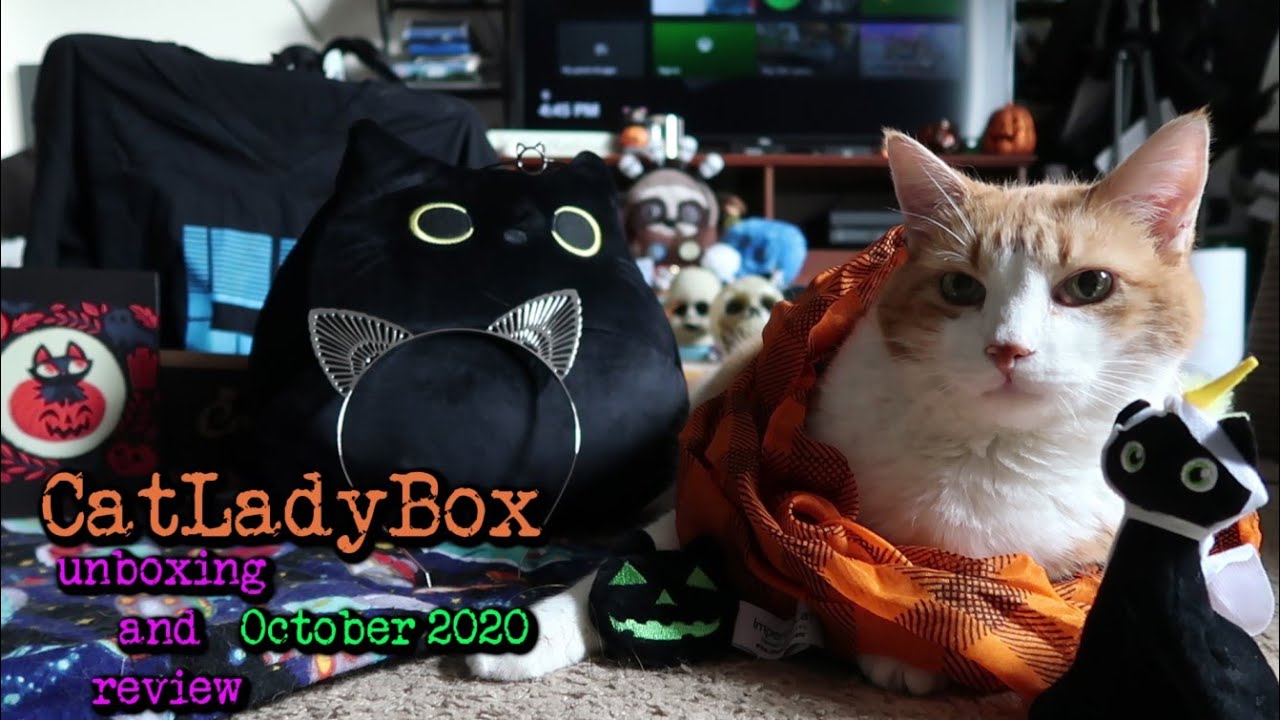 Catladybox Unboxing Review October Youtube
