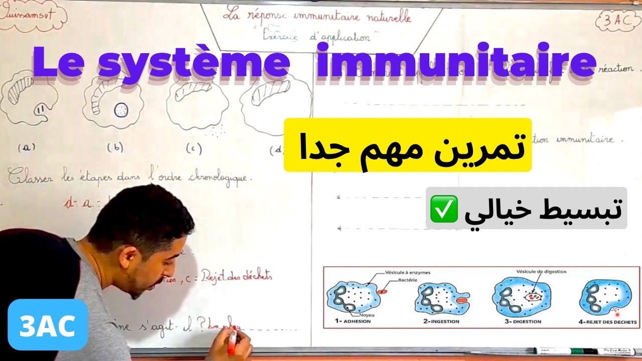 3AC : La réponse immunitaire naturelle | 🔥تمرين سريع 🔥Exercice🔥