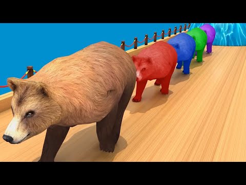 Video Gia Đình Nhỏ Hạnh Phúc To - Con Lợn Éc - Nhạc Thiếu... - youtube
