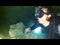 DIVING MEKSYK CENOTES 10 SIERPIEÑ 2018