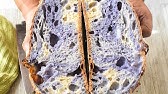 Butterfly Pea Flower Sourdough Bread Marbled Sourdough Bread Youtube Butterfly Pea Flower Sourdough Bread Marbled Sourdough Bread Youtube