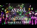 【歌詞付き】 AMIMAL/GENERATIONS from EXILE TRIBE