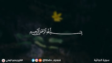﴿وَيلٌ لِكُلِّ أَفّاكٍ أَثيمٍ﴾ [الجاثية: ٧] تلاوة للقارىء وديع اليماني