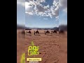 Tabuk Heritage In Saudi Arabia تبوك الحضارة 