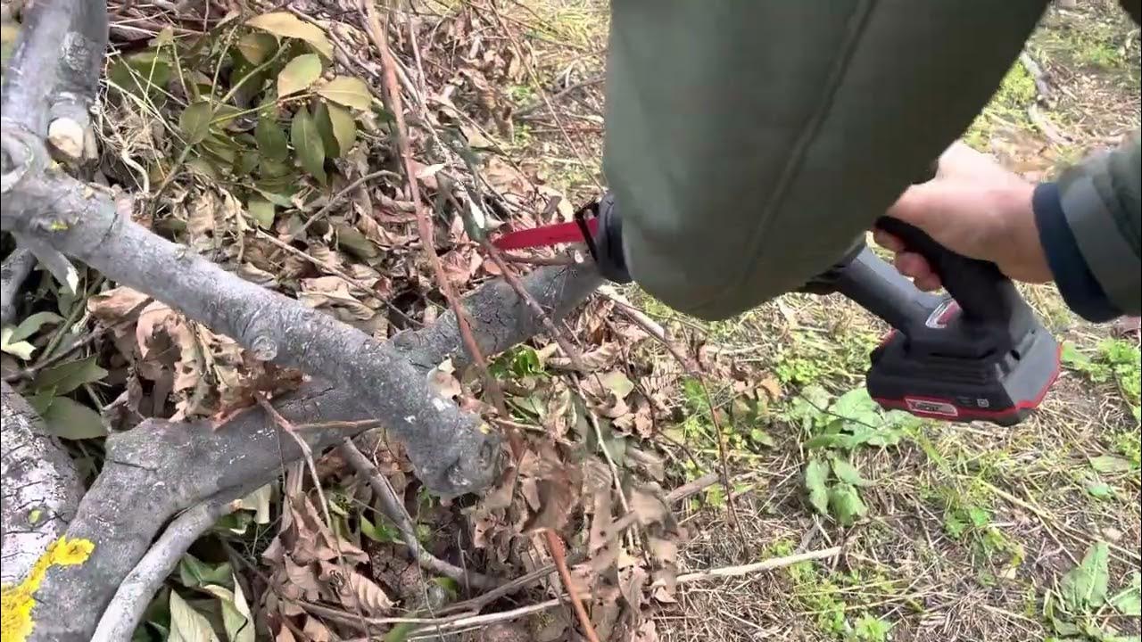 Trying the Lidl/Parkside reciprocating saw with a Diablo Carbide blade