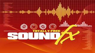Totally Free Sound Effects #42 - Toilet Flush 1