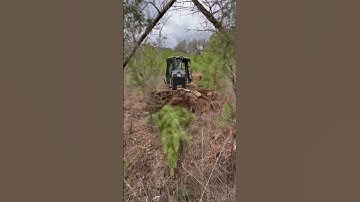 @caterpillarinc D3 dozer cutting in a new road. #Dozer #caterpillar #grading