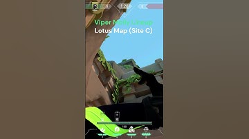 Viper Lineup Lotus (snakebite)😮😮